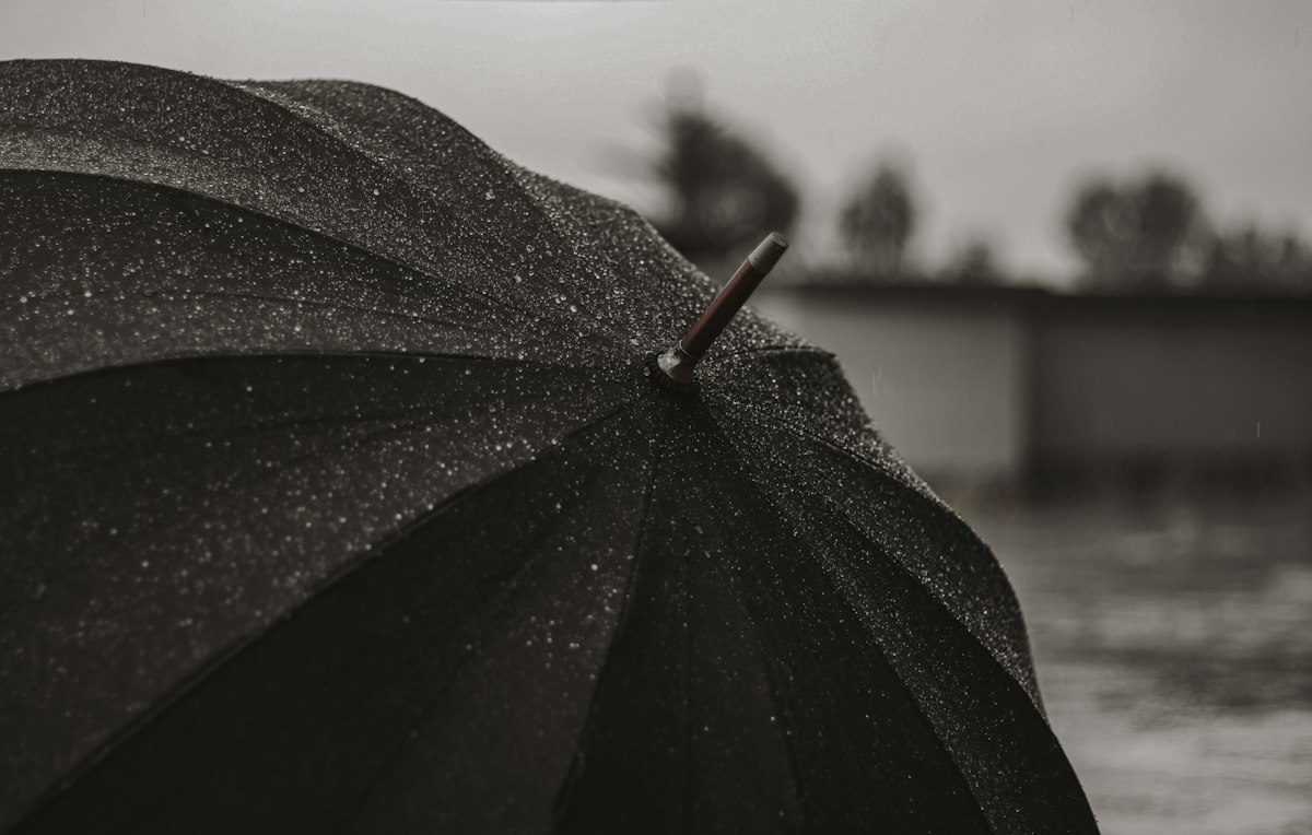 Custom Printed Umbrella (1 pc)